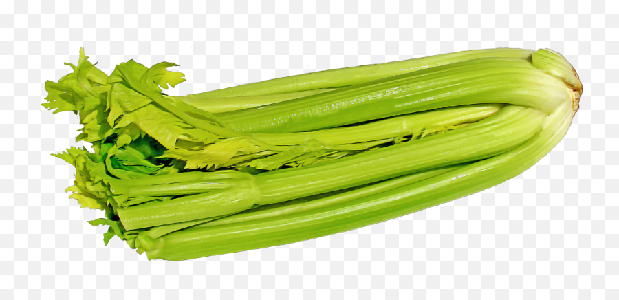 Celery Png Image Background - Cellery Png Emoji,Celery Png