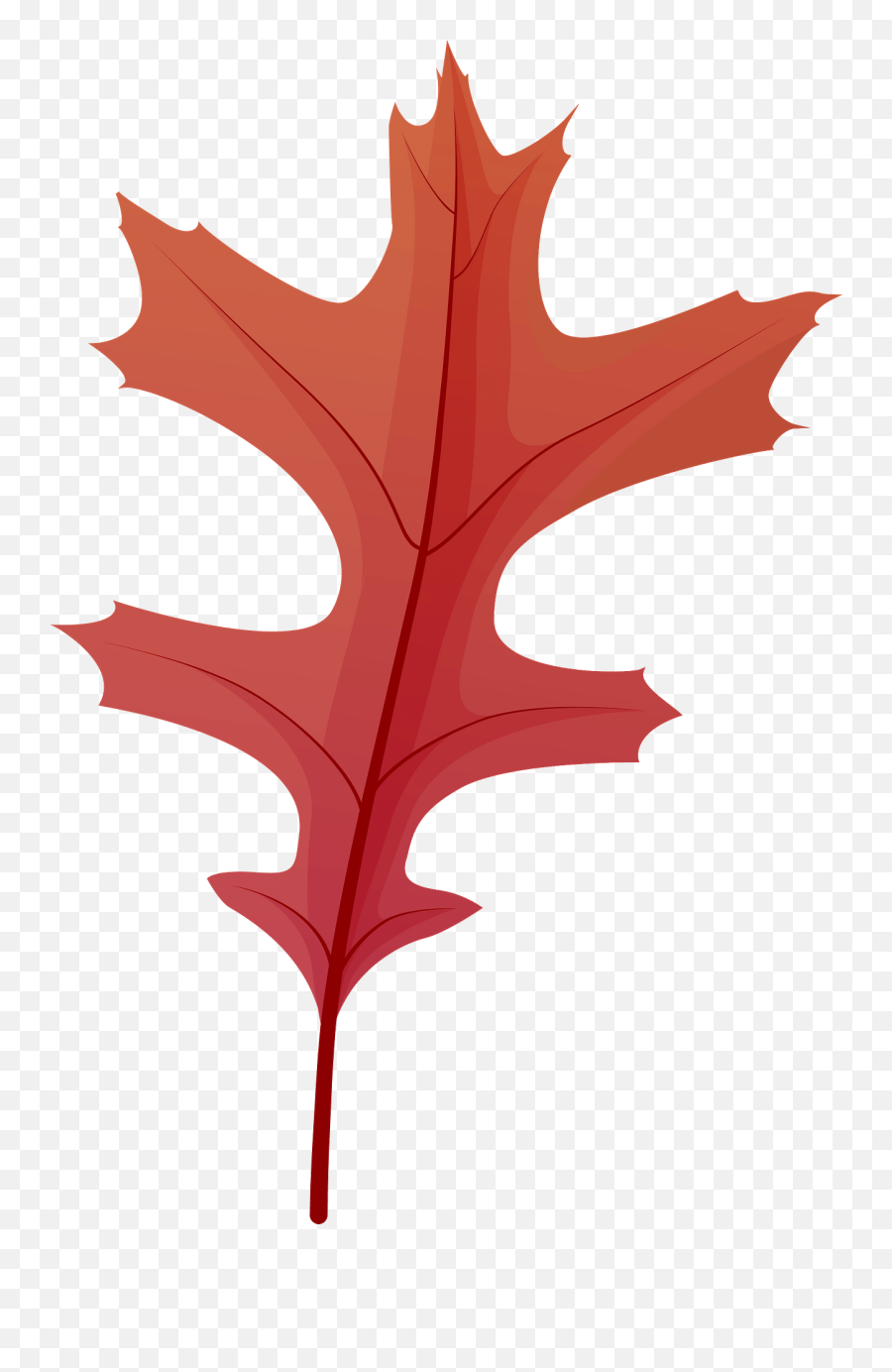 Pin Oak Late Autumn Leaf Clipart Free Download Transparent - Scarlet Oak Emoji,Oak Leaf Clipart