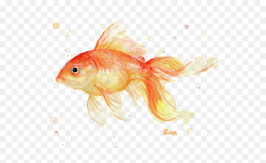 Goldfish Painting Watercolor T - Shirt Goldfish Painting Watercolor Emoji,Transparent Watercolor