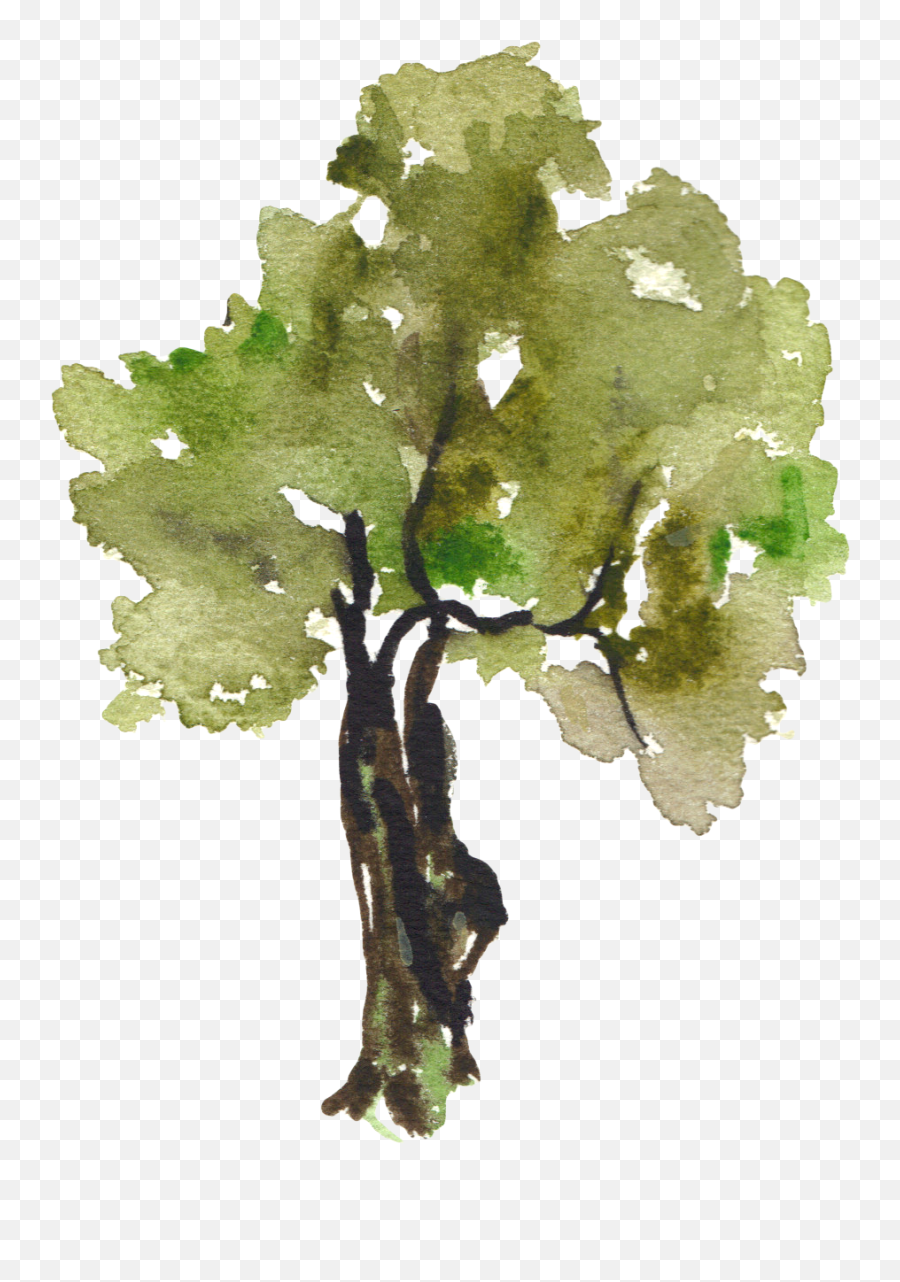 Tree Painting Clip Art - Watercolor Trees Painting Transparent Emoji,Watercolor Tree Png