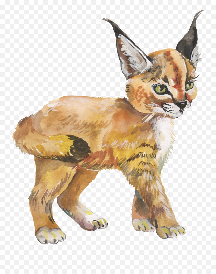 Little Lynx Watercolor Cute Forest Animal Watercolor - Caracal Emoji,Forest Clipart Backgrounds