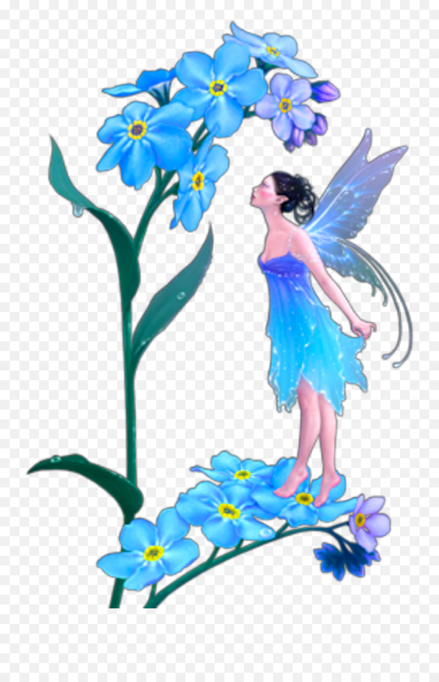 Report Abuse - Forget Me Not Fairy 1024x1534 Png Clipart Emoji,Forget Me Not Clipart