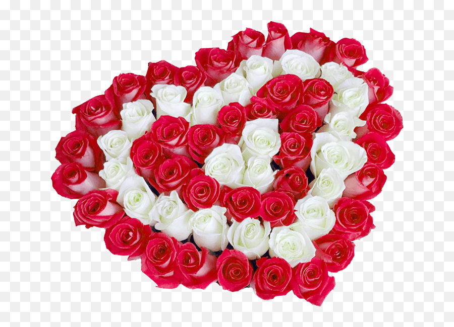 Red White Rose Heart Png - Rose Flower Png Images Free Emoji,White Rose Transparent