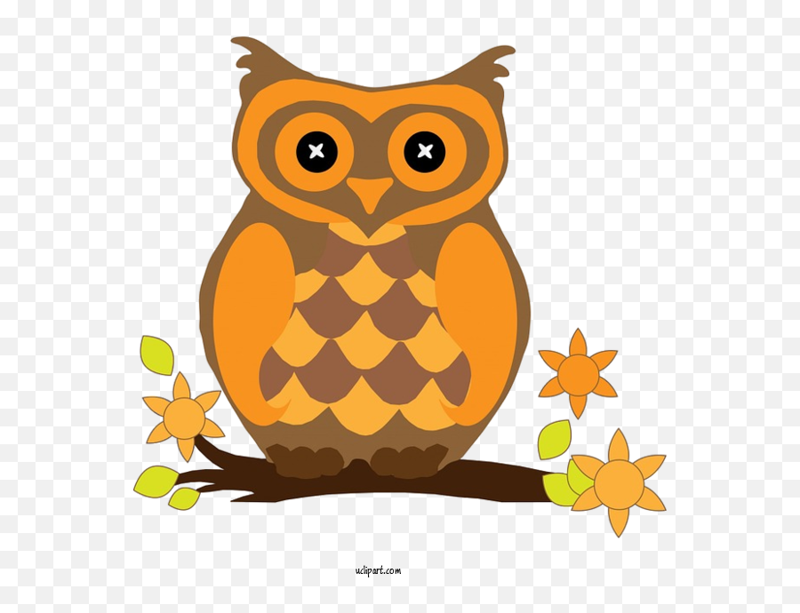 Animals Owl Cartoon Bird Of Prey For Owl - Owl Clipart Emoji,Transparent Owl