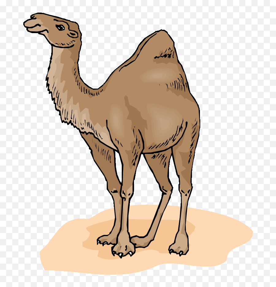 Free Clip Art - Clipart Images Of Camel Emoji,Camel Clipart