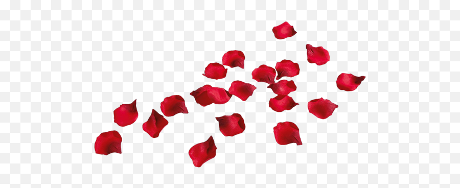 Rose Petals - Rose Petals Png Transparent Clipart Full Rose Petals At Clicks Emoji,Rose Petal Png