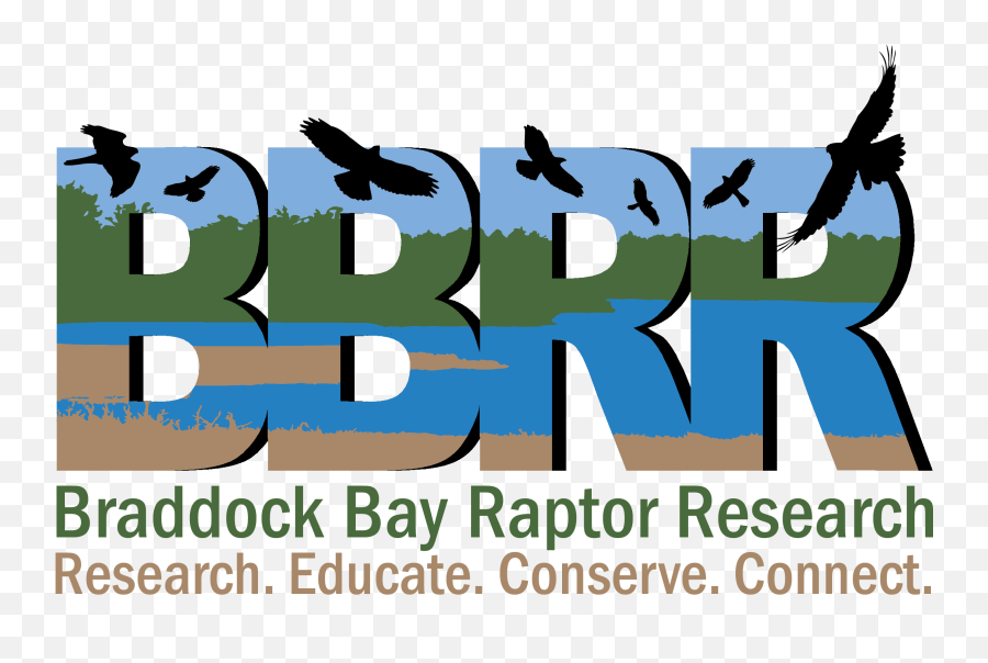 Bbrr U2013 Raptor Banding Braddock Bay Raptor Research - Language Emoji,Raptor Logo