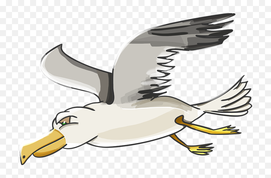 Gull Cartoon Png Transparent Png - Seagull Cartoon Png Emoji,Seagull Clipart