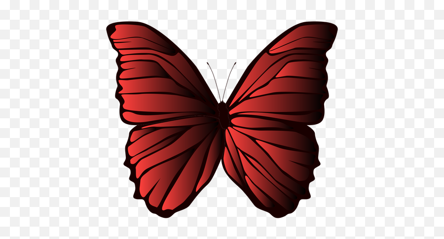 Lined Wings Butterfly - Transparent Png U0026 Svg Vector File Desenho Borboleta Vermelha Png Emoji,Butterfly Transparent Background