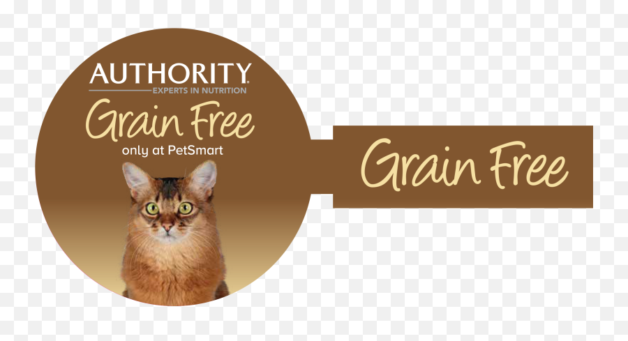 Petsmart Portfolio - Abyssinian Cat Emoji,Petsmart Logo