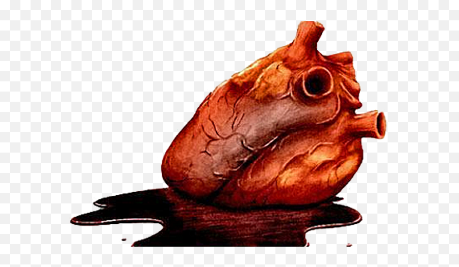 Human Heart Heart Art My Heart Human - Heart Ripped Out Png Emoji,Real Heart Png