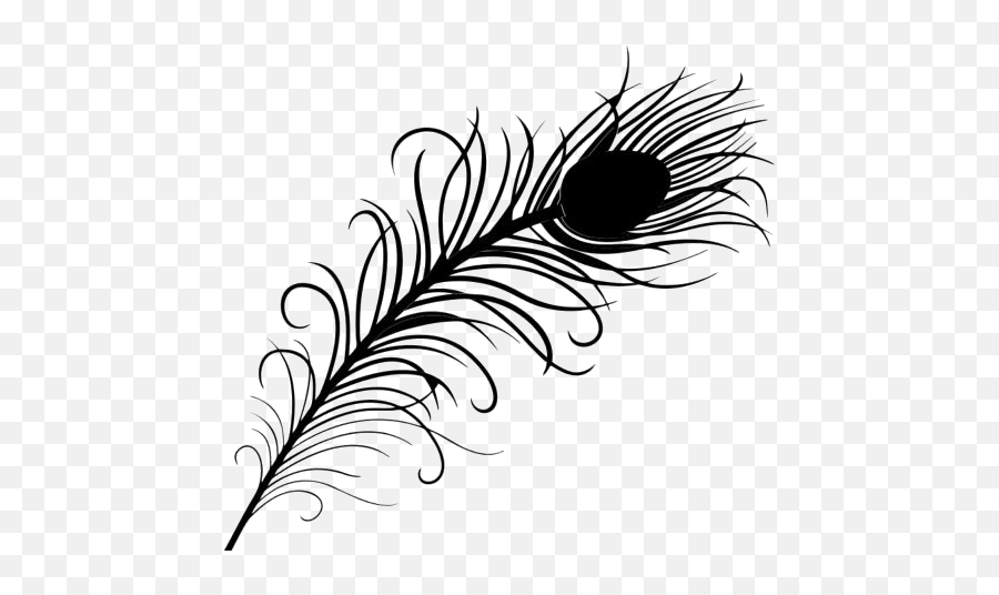 Peacock Feather Clipart Png Black And White Pngimagespics - Peacock Feather Png Black Emoji,Feather Clipart Black And White