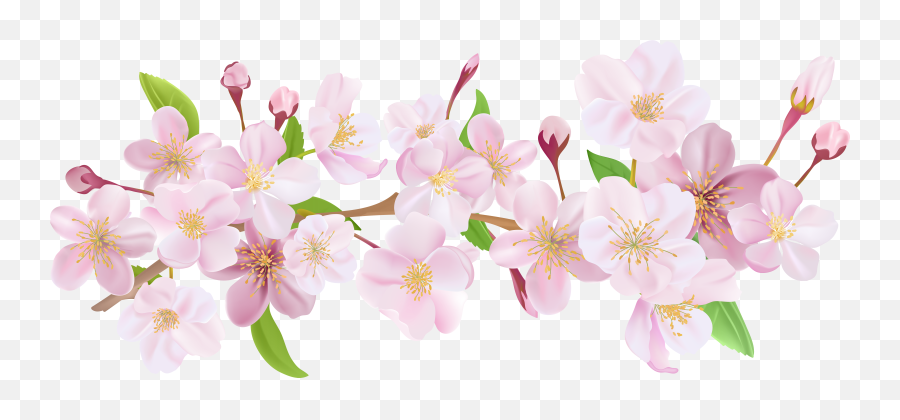 Library Of Apple Blossoms Royalty Free - Transparent Sakura Flower Crown Emoji,Cherry Blossom Png
