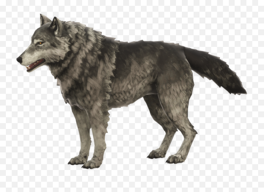 Timberwolf - Wolf Timberwolves Emoji,Wolf Face Png