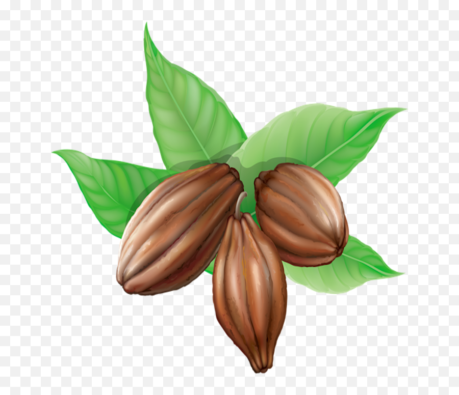 Pot Oats - Coco Cacao Oat Mix Gluten Free Vegan Organic Bio 1 Kg Emoji,Vegan Clipart