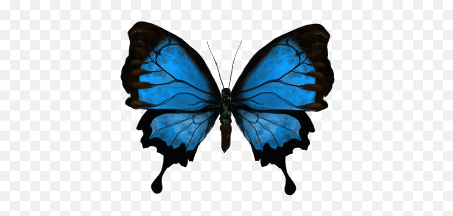 Beautiful Butterfly Gifs Emoji,Butterfly Wing Clipart