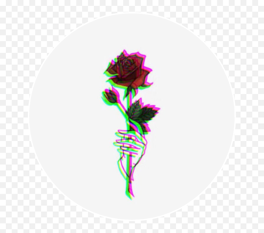 Rose Profilepic Red White Glitch Sticker By Daria Emoji,White Rose Transparent Background