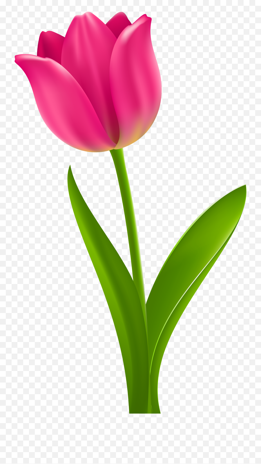 Free Free Tulip Cliparts Download Free - Pink Tulip Clipart Emoji,Tulip Clipart