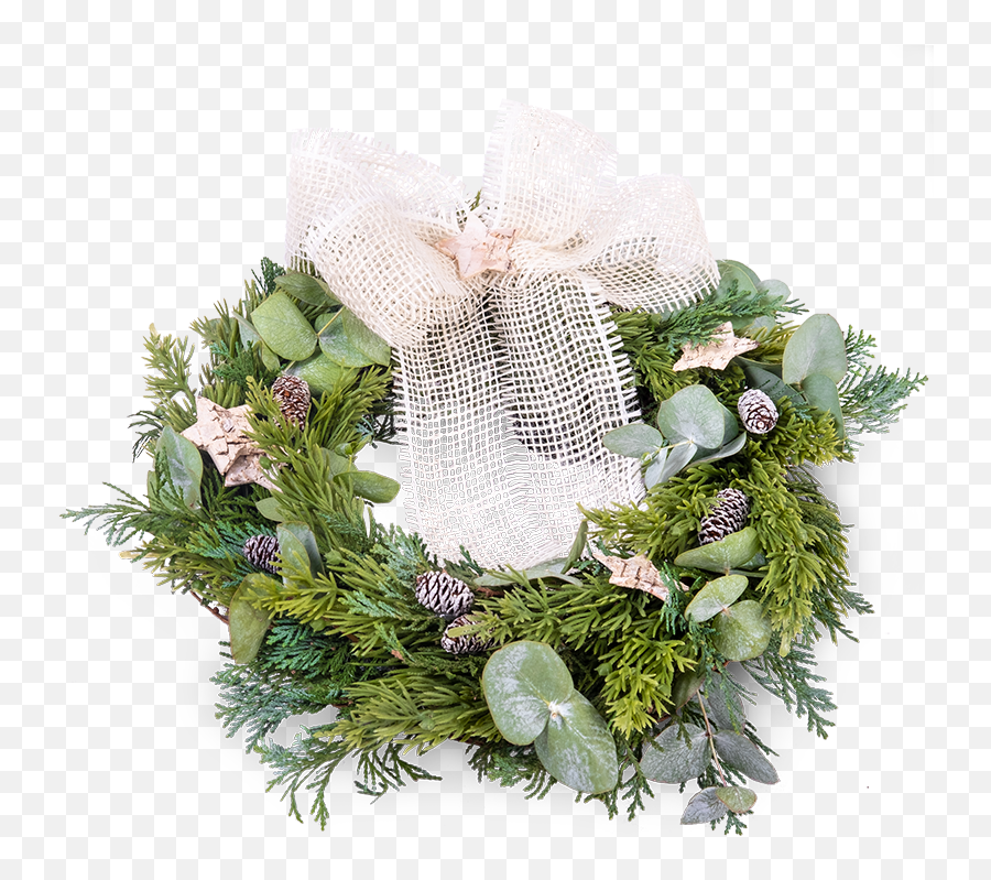 Download Natural Christmas Wreath - Wreath Png Image With No Prirodni Vanocni Venec Emoji,Christmas Wreath Png