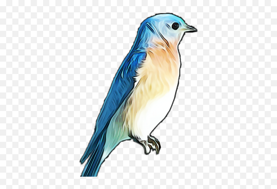Bluebird Scwatercolor Watercolor Sticker By Beanepatch Emoji,Bluebirds Clipart