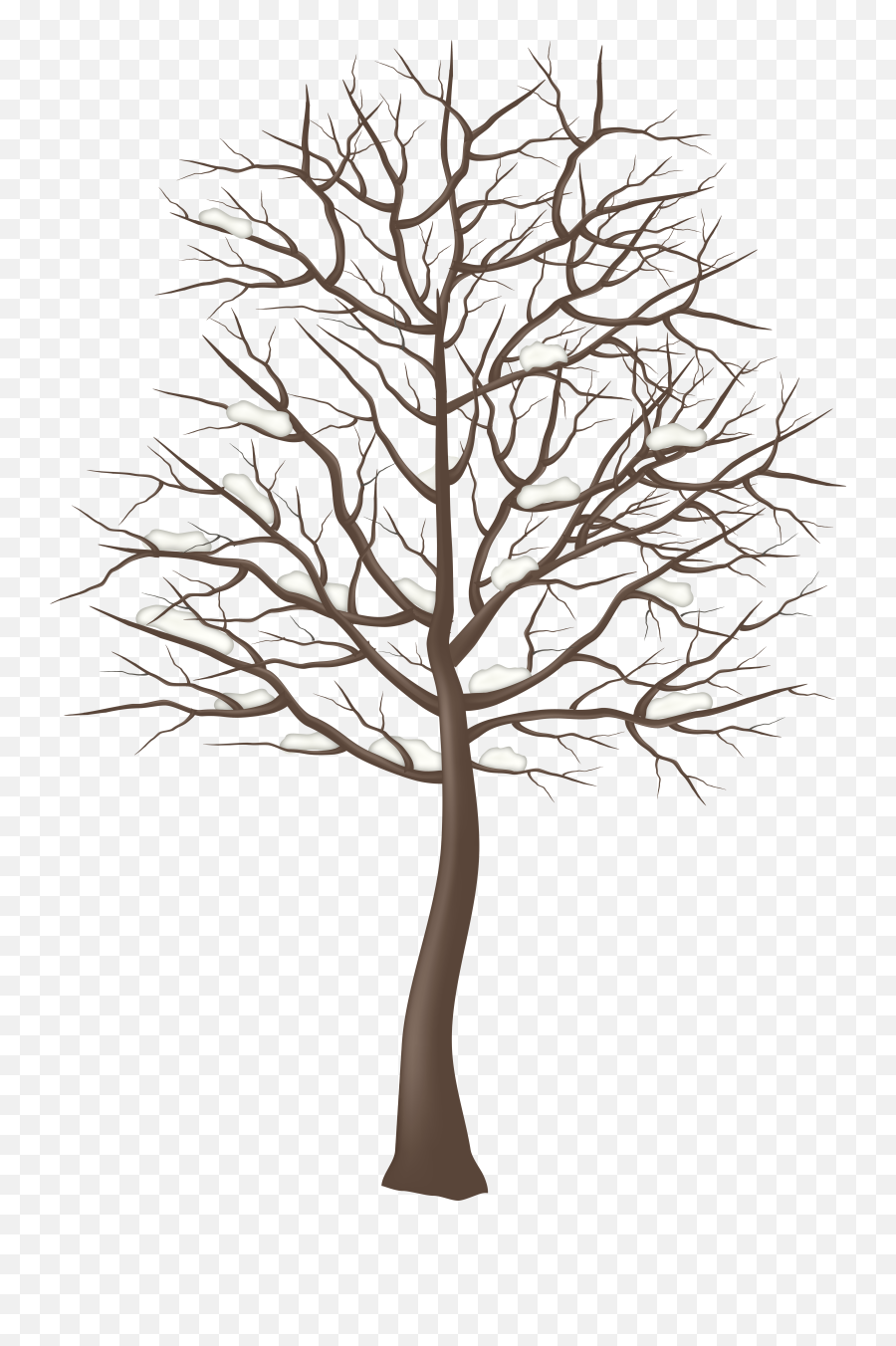 Woods Clipart Snowy - Tree With No Background Transparent Winter Tree Cartoon Transparent Background Emoji,Tree Transparent