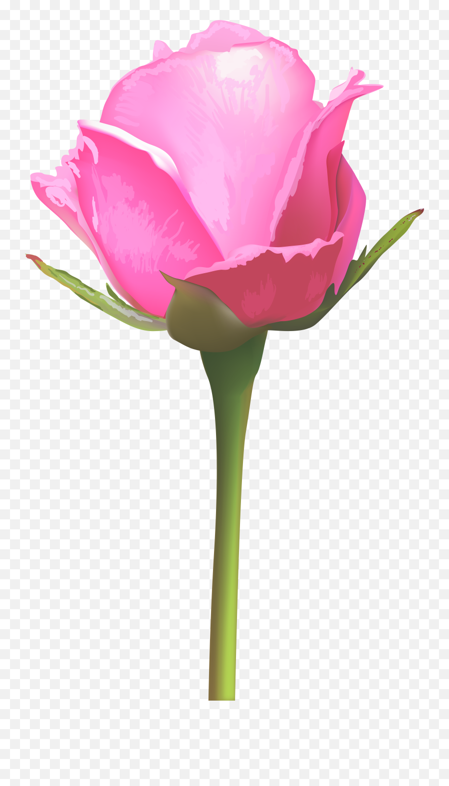Free Png Download Single Pink Rose Png Images Background - Pink Single Rose Flower Png Emoji,Pink Flower Png