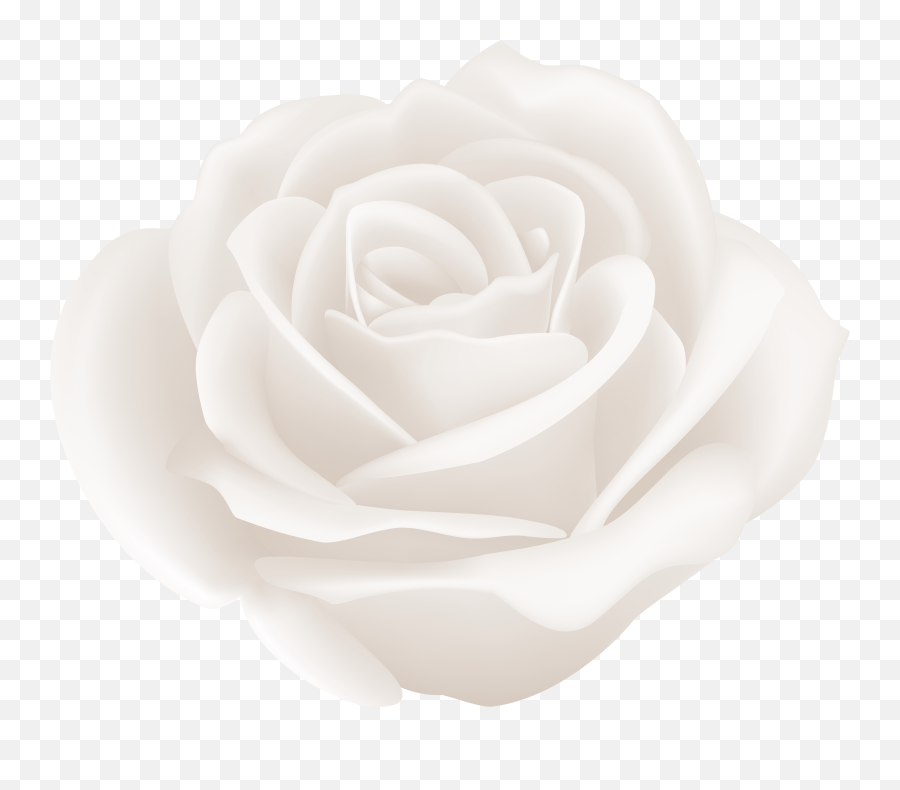 Free White Rose Clipart Download Free Emoji,Rose Clipart Black And White