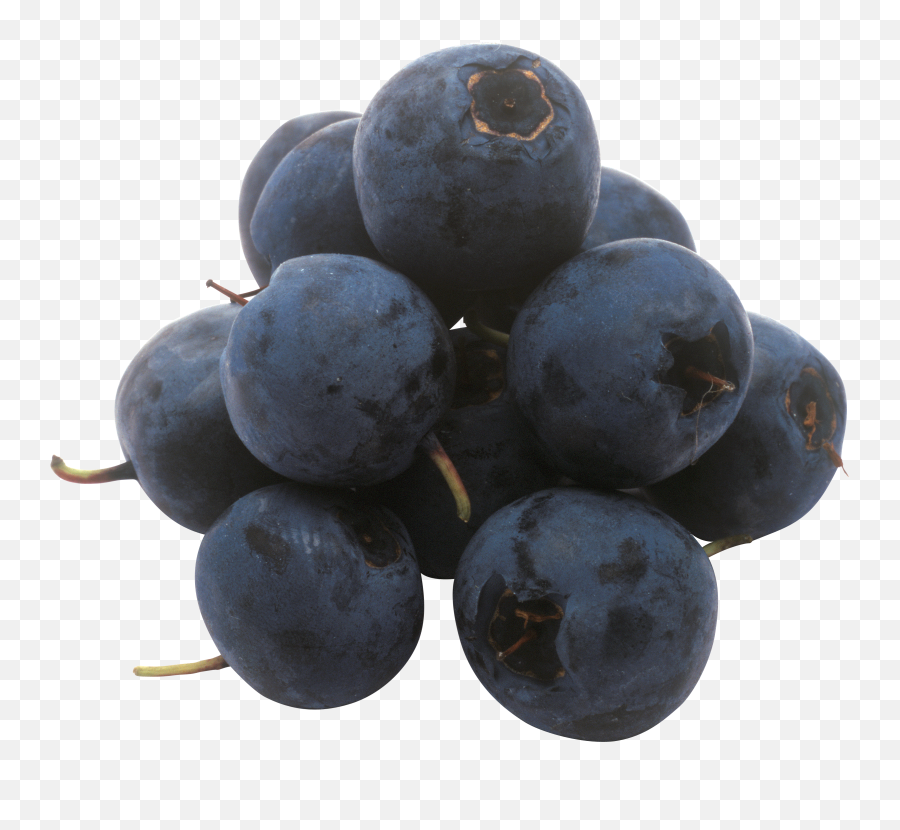 Blueberrys Png Image Blueberry Strawberry Shortcake Png - Png Emoji,Blueberries Png