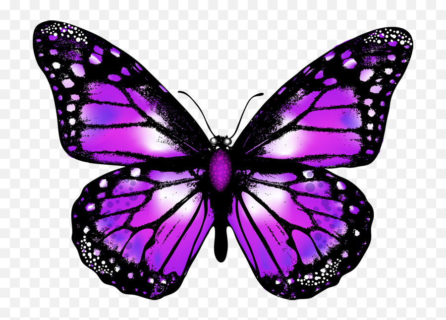 Butterfly Png Images Transparent - Transparent Background Purple Butterfly Emoji,Butterfly Transparent