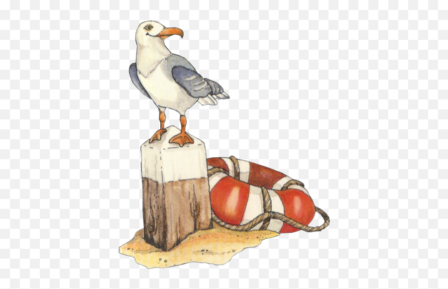 Sea Illustration - Nautical Seagull Clipart Emoji,Seagull Clipart
