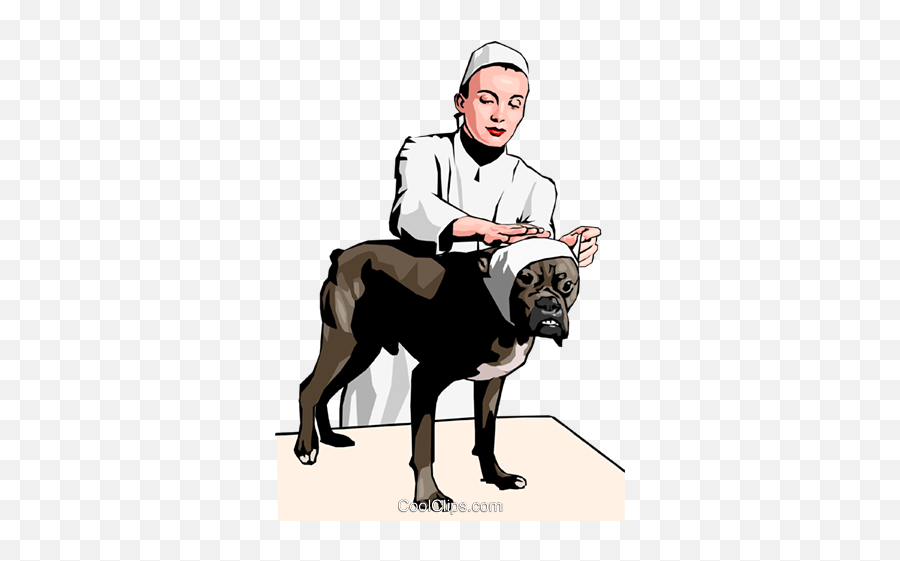 Veterinary Care Royalty Free Vector - Dog Supply Emoji,Veterinarians Clipart
