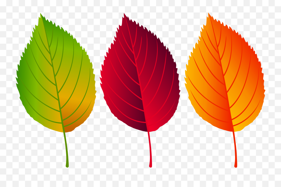 Colorful Fall Leaves Png Clip Art Image - Clip Art Fall Leaves Emoji,Leaf Clipart