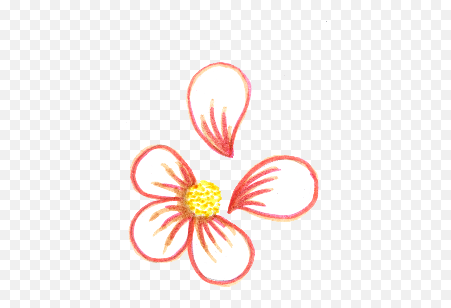Tumblr Transparent Flower Drawing - Still Life Photography Emoji,Flower Drawing Transparent
