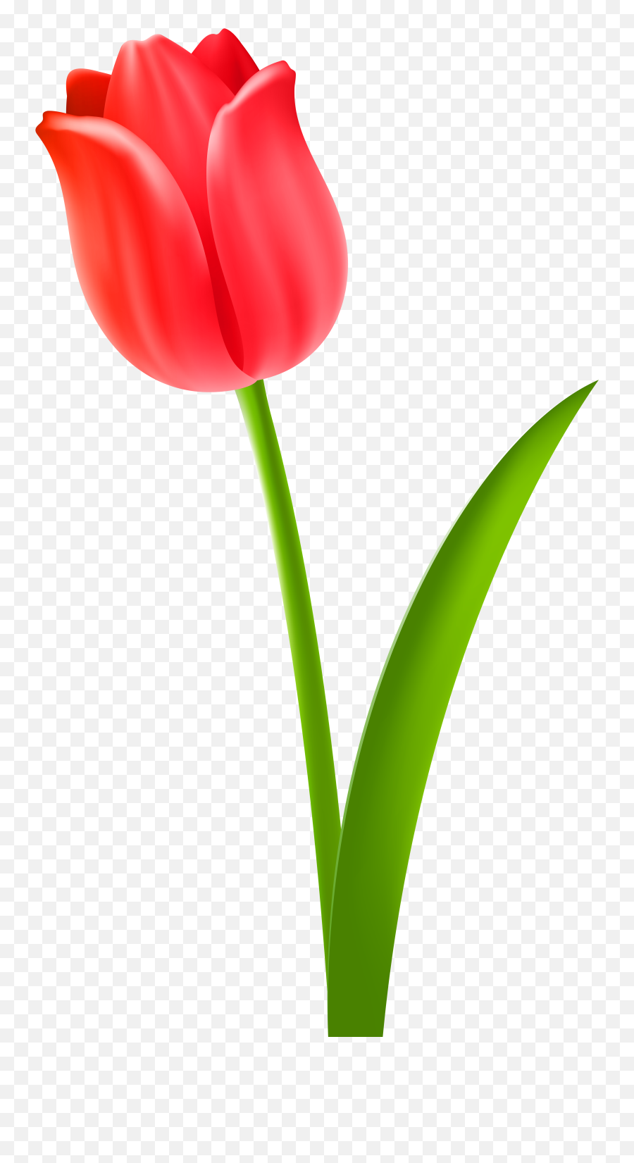 Free Free Tulip Cliparts Download Free - Transparent Background Tulip Clip Art Emoji,Tulip Clipart