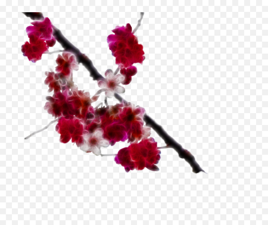 Download Cherry Blossom Clipart Png - Transparent Background Cherry Blossom Painting Png Emoji,Cherry Blossom Clipart