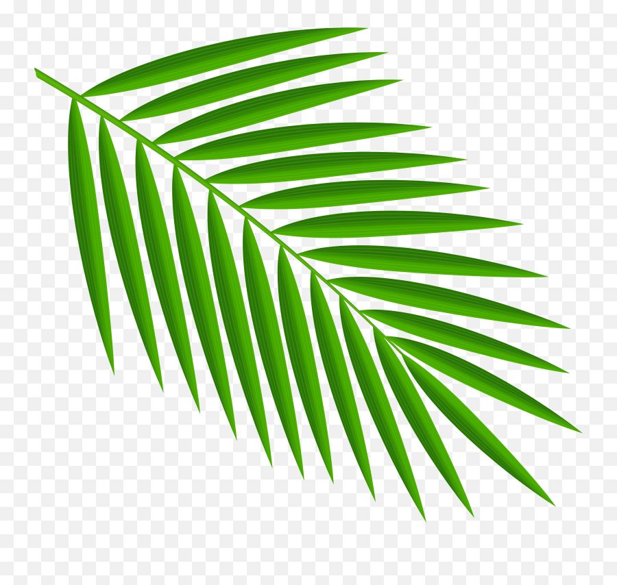 Free Palm Leaves Clipart Download Free Clip Art Free Clip - Palm Leaf Clip Art Emoji,Palm Sunday Clipart