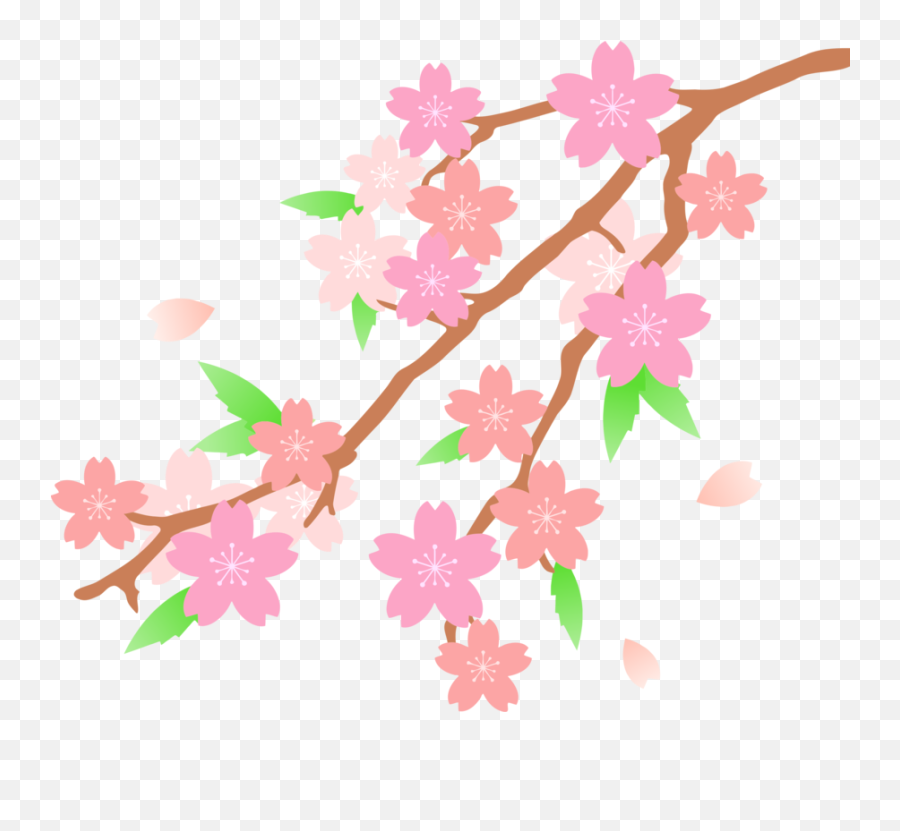 Cherry Blossom Drawing Png - Cherry Blossom Clipart Big Hd Emoji,Cherry Blossom Png