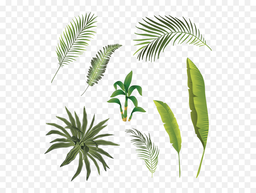 Hojas Tropicales Vector - Leaf Emoji,Hojas Png