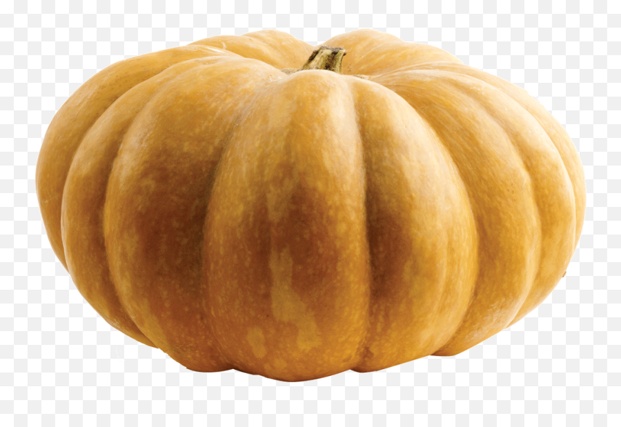 Smashing Pumpkins - Cincinnati Magazine Pumpkin Seed Emoji,Pumpkin Transparent