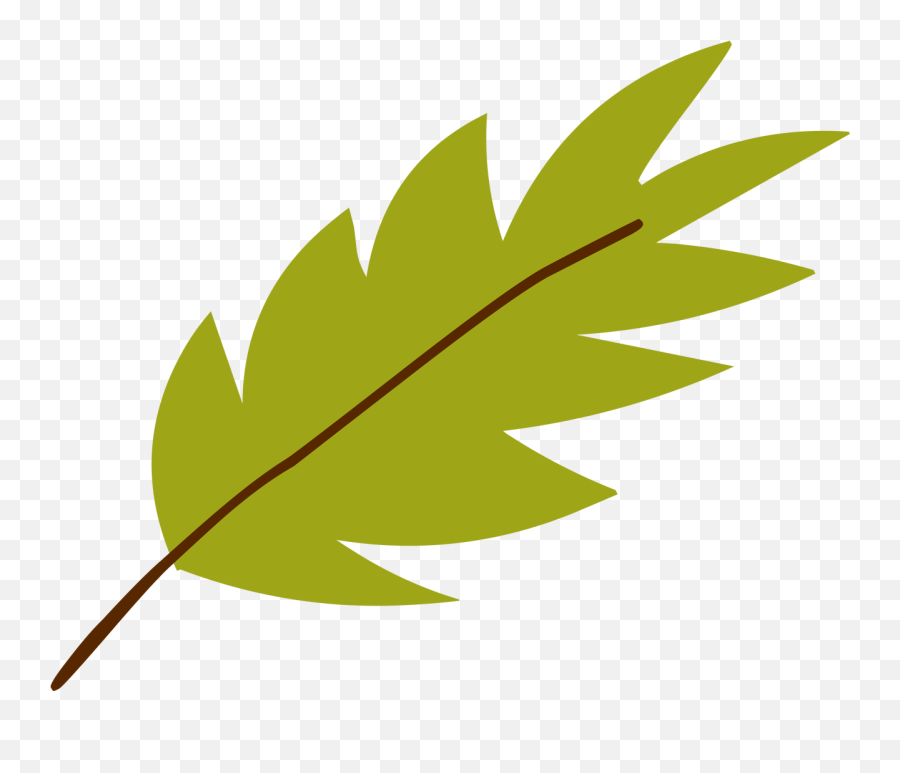 Jungle Leaf Svg Cut File Transparent Cartoon - Jingfm Clip Art Emoji,Jungle Leaves Png