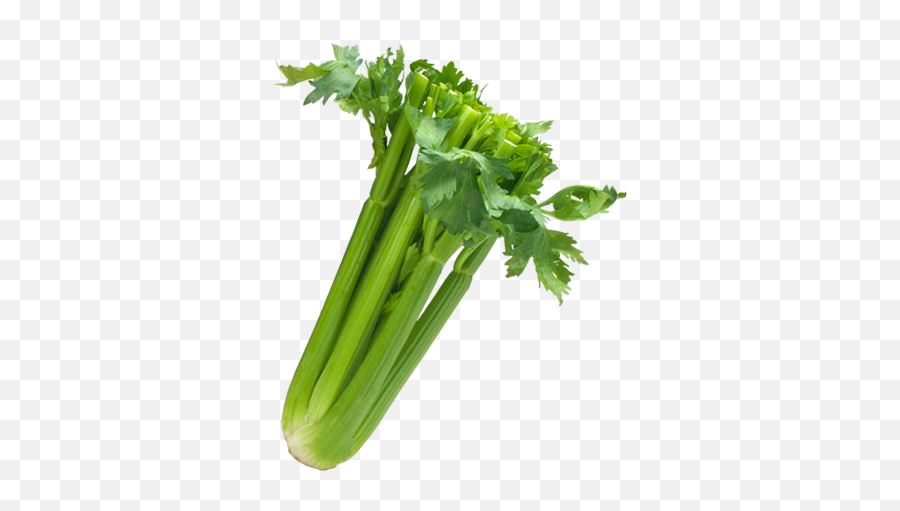 Download Celery Transparent Sleeved - Transparent Background Celery Png Emoji,Celery Png