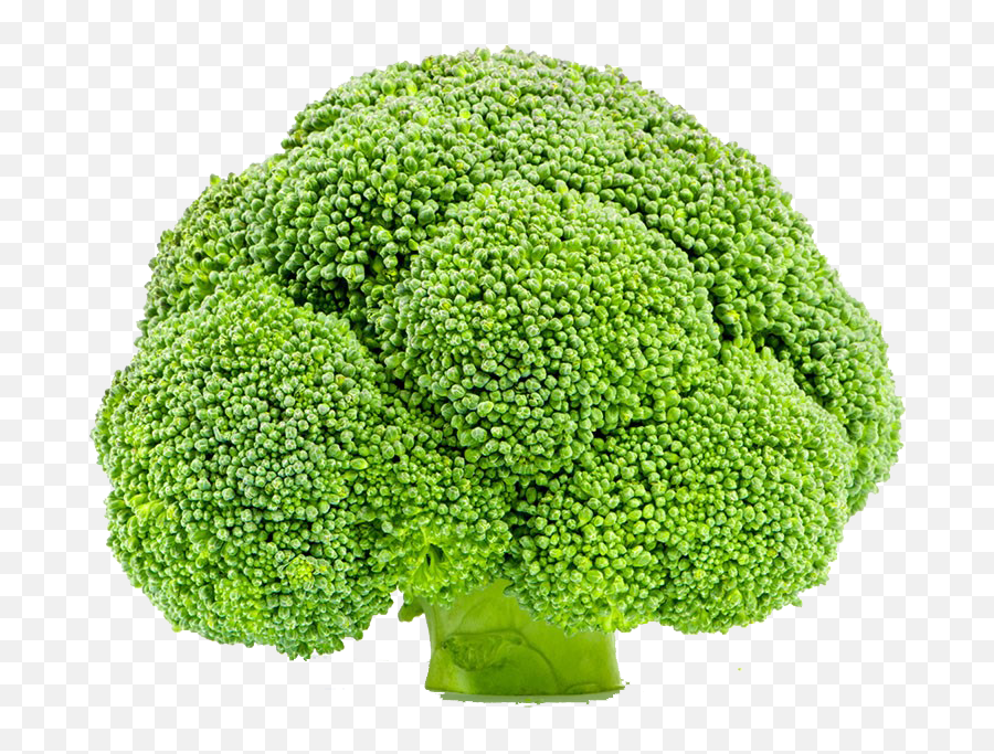Broccoli Vegetable Cauliflower - Creative Broccoli Png Superfood Emoji,Broccoli Png