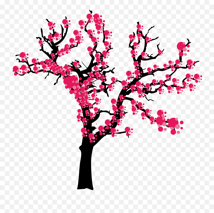 Download United Blossom Cherry Plum Tree States Vector Hq - Pohon Sakura Vector Png Emoji,Cherry Blossom Png