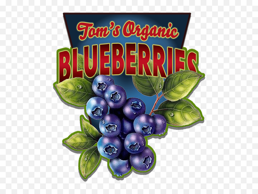 Blueberries Shaped Sign - Blueberries Sign Emoji,Blueberries Png