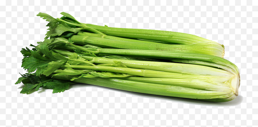 Celery Png Clipart - Celery Png Emoji,Celery Png