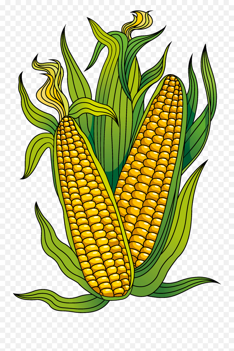 Corn Clipart - Corn Clipart Emoji,Corn Clipart
