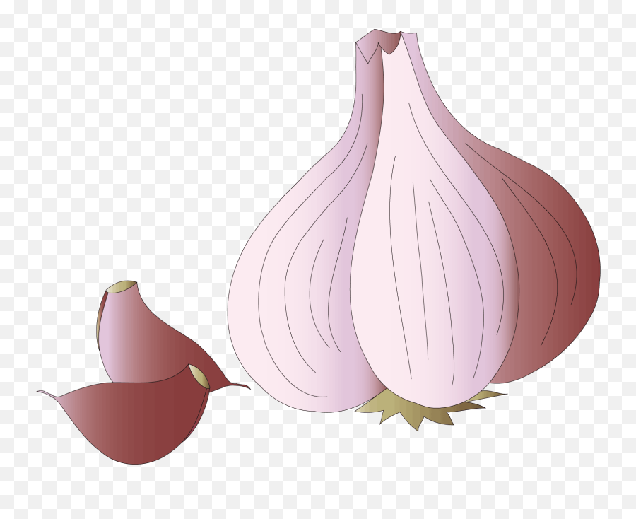 Garlic Clipart Garlic Plant - Superfood Emoji,Garlic Clipart