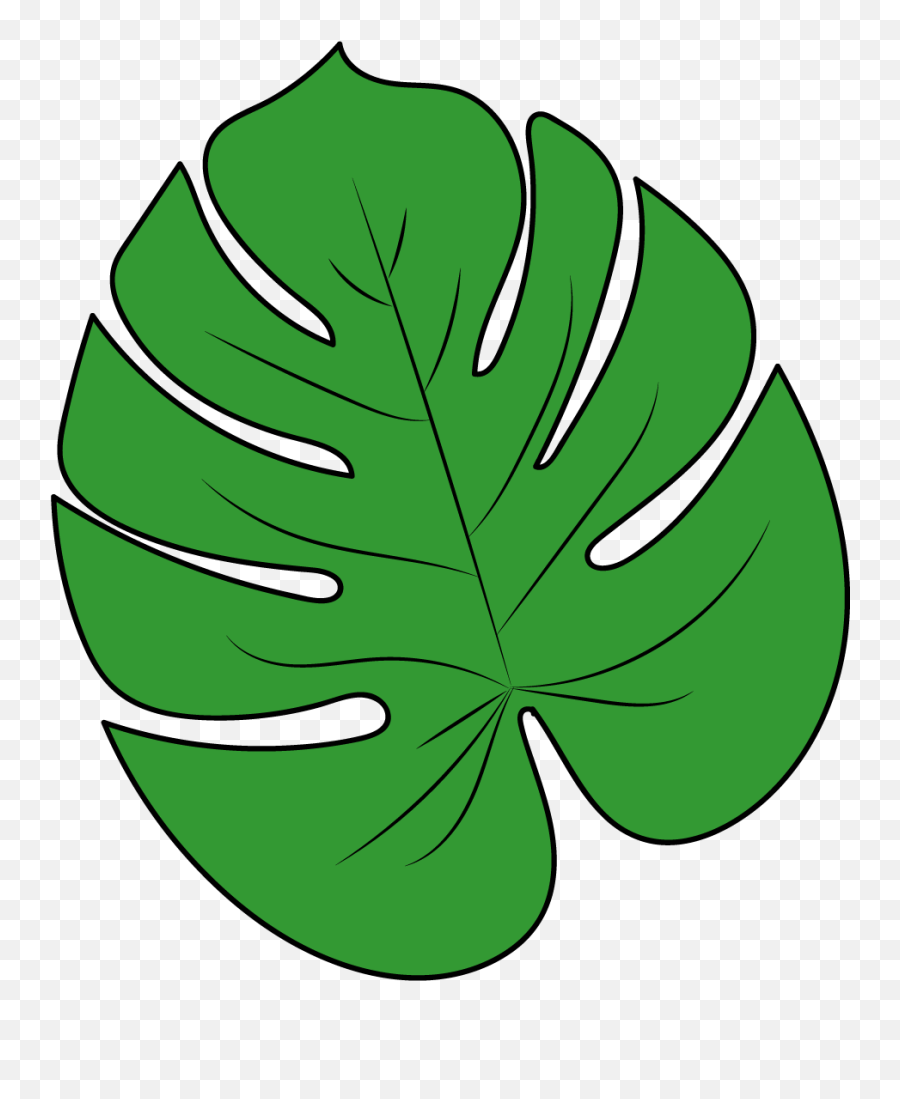 Monstera Leaf Illustration Graphic - Leaf Illustration Emoji,Monstera Leaf Png