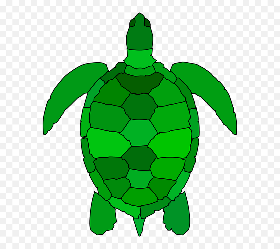 Best Turtle Clipart - Sea Turtle Clip Art Emoji,Turtle Clipart