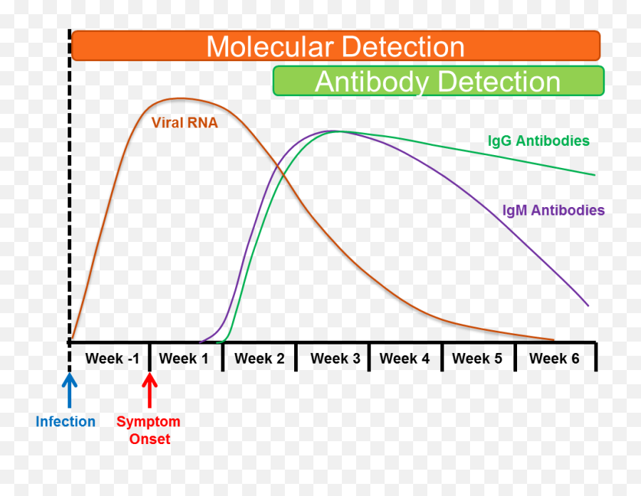 Antibody Detection National Covid - 19 Convalescent Plasma Emoji,Antibody Png